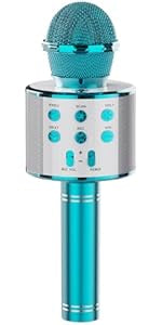 Wireless Microphone HiFi Speaker