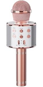 Wireless Microphone HiFi Speaker