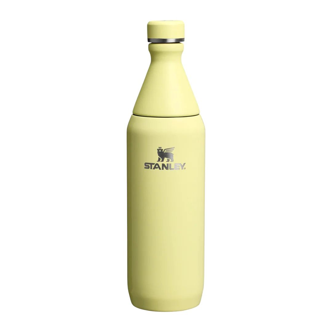Stanley 18 oz All Day Slim Bottle Twist On Lid with Leakproof Seal Slim Design for Travel & Gym Insulated Stainless Steel